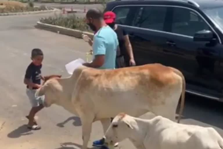 Shikhar Dhawan Feeds Hungry Animals