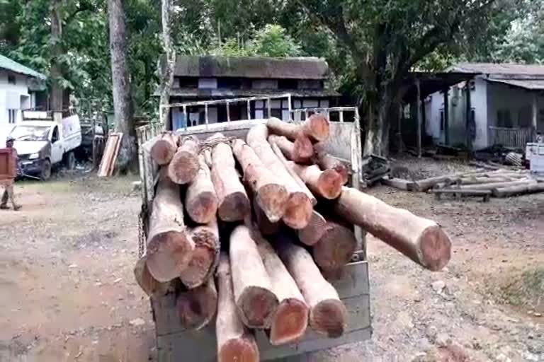 wood-seized-by-forest-dept-at-boko