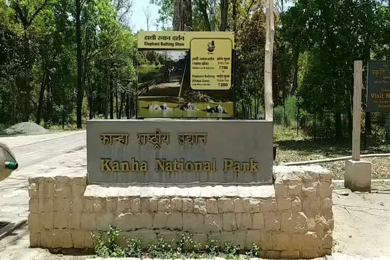 Kanha Tiger Reserve Mandla
