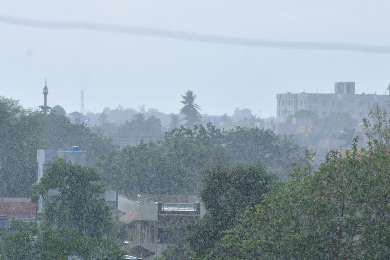 mazha  rain  rain in kerala  kerala yellow alert  thiruvanathapuram