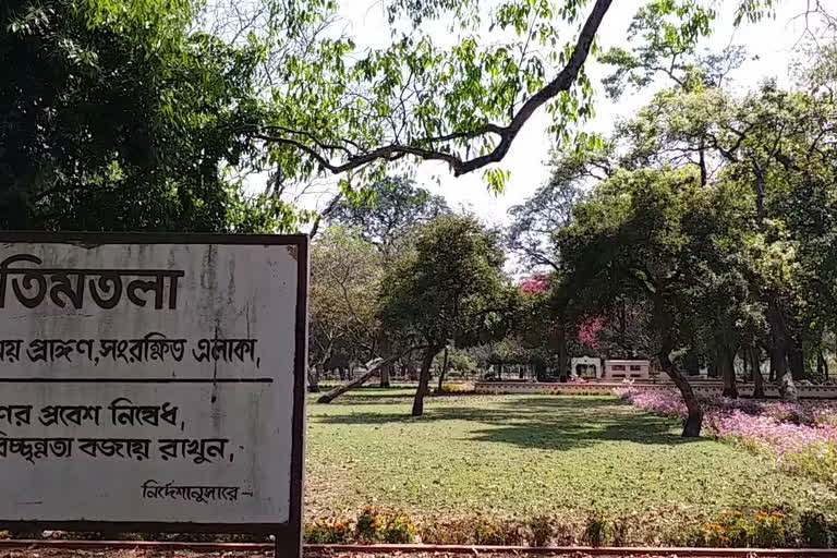 visva bharati university