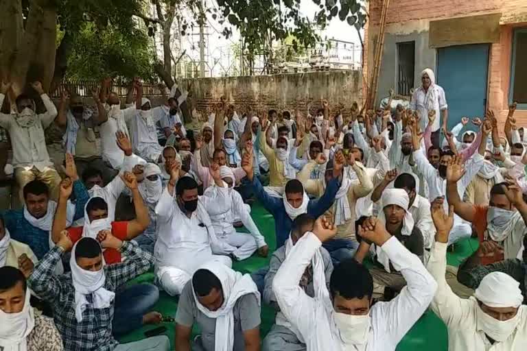 protest of gohana power department employees