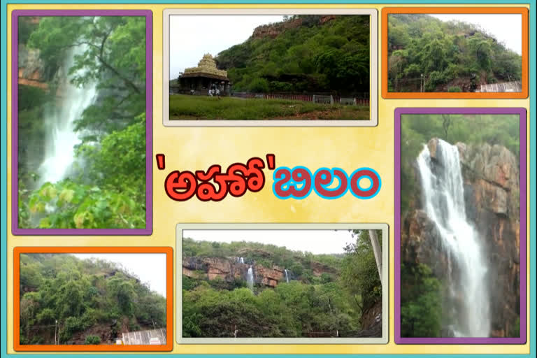 Ahobilam Forest looking  beautyful nature with rains in kurnool district