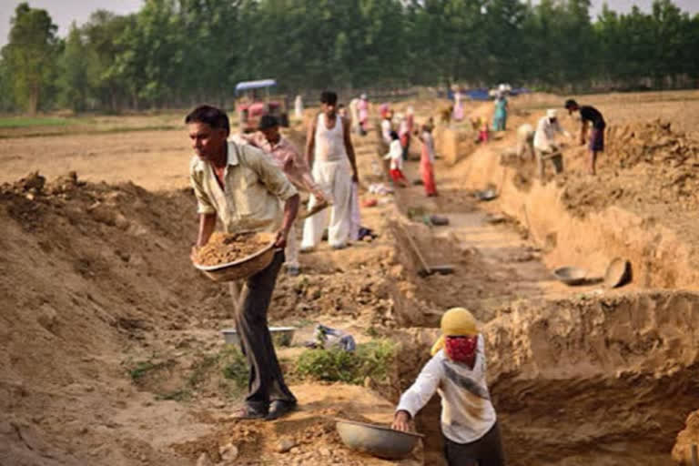 migrant laborers got  MNREGA support 84 percent more work in june