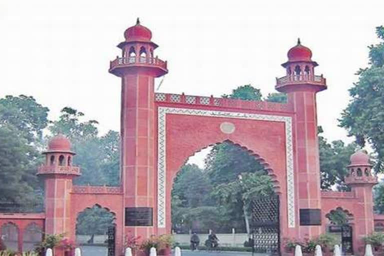 aligarh muslim university news