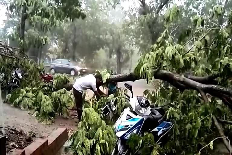 Strong winds created havoc in Rehati