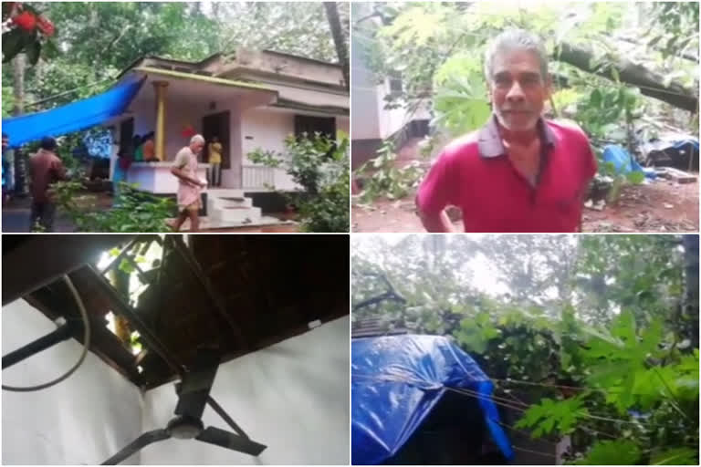 ആളപായം ഒഴിവായി  house collapsed  Trees fell in the rain  മലപ്പുറം  ചേലേമ്പ്ര  പുല്ലിപറമ്പ്  പള്ളിയാളി ബസ് സ്റ്റോപ്പ്