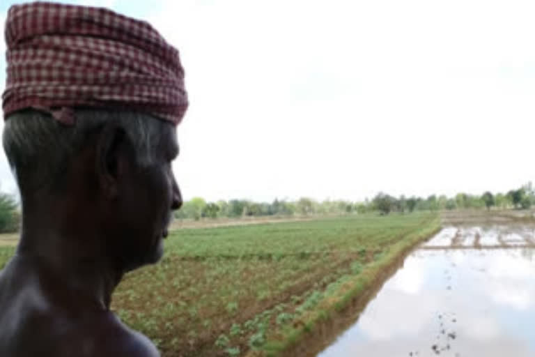 Situation of farmers due to heavy rain and lack of facilities