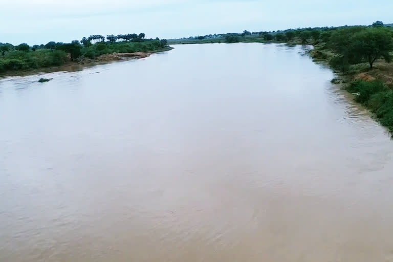 stream in the kundu river at kadapa district