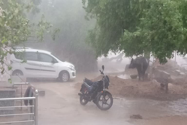 रानीवाड़ा में बारिश, Rain in raniwada