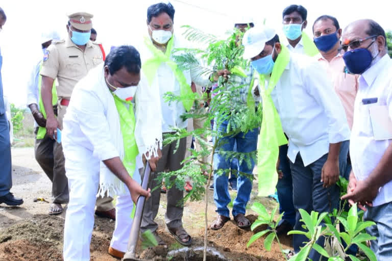 MLA Aruri Ramesh Inagurates Haritha Haram