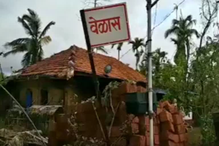 mango-farm-damage-due-to-nisarg-cyclone-in-ratnagiri
