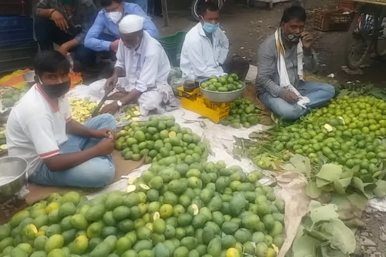 Gavran mango 50 percent reduction in Kannad taluka