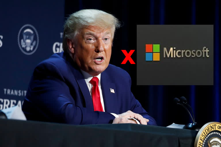 trump on microsoft