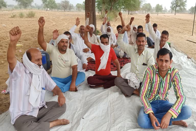 farmers doing hunger strike in charkhi dadari due to falling tomato prices