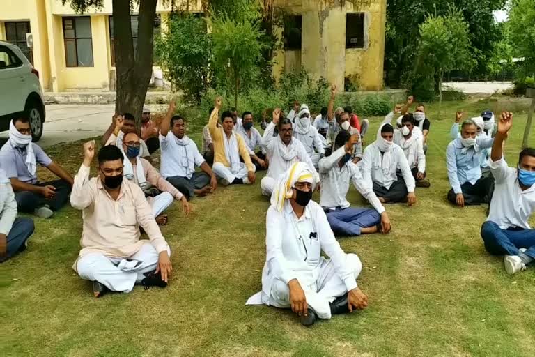 electricity department employees protest in palwal