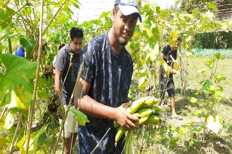 Six Youth organic farming vegetable crops At Kokrajhar