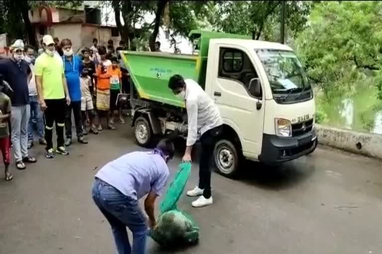 Stray dogs caught in raipur