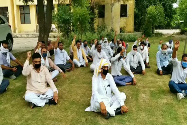 electricity department employees protest in palwal