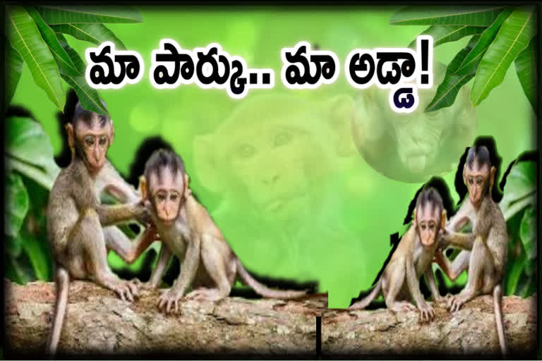 First Monkey Park  of the state in Shivamogga District