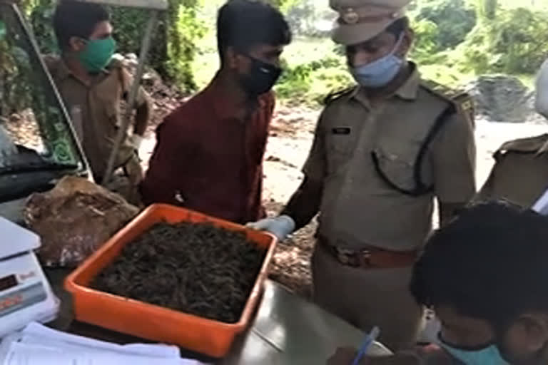 vadakara ganja  വടകര കഞ്ചാവ്  പാറേമ്മല്‍ അഷ്‌കര്‍  കോഴിക്കോട് കഞ്ചാവ്  എക്‌സൈസ്