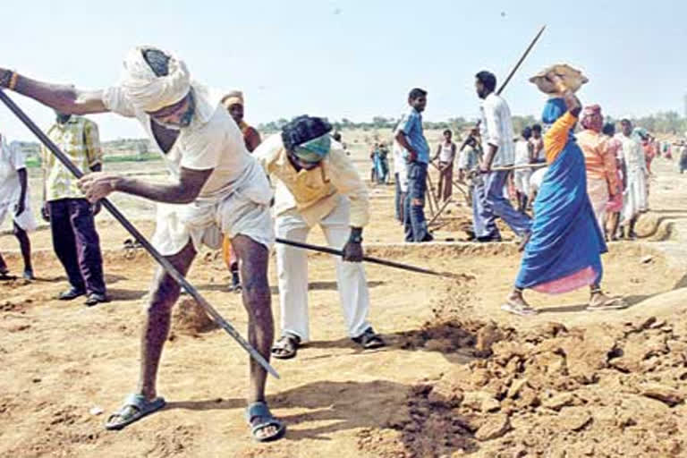 enquiry on nrega works