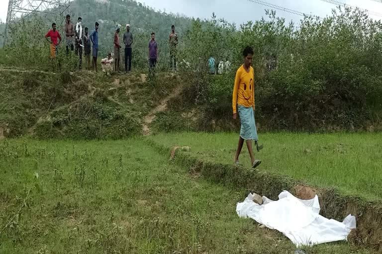 elephant-killed-a-young-man-in-surajpur