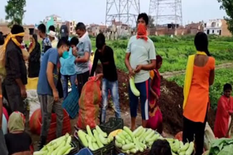 farmers in moradabad forced to sell vegetables outside their fields