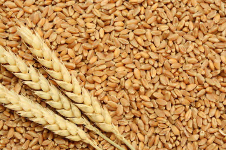 Government orders FCI to deliver four months of food grains across country