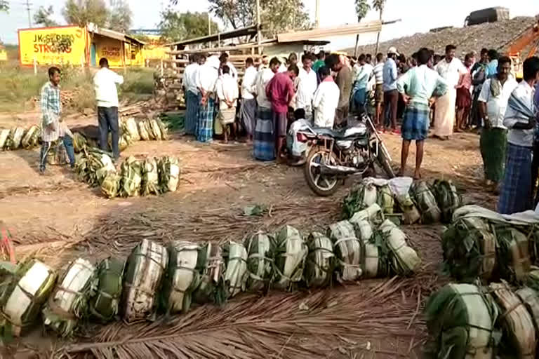 betel crops