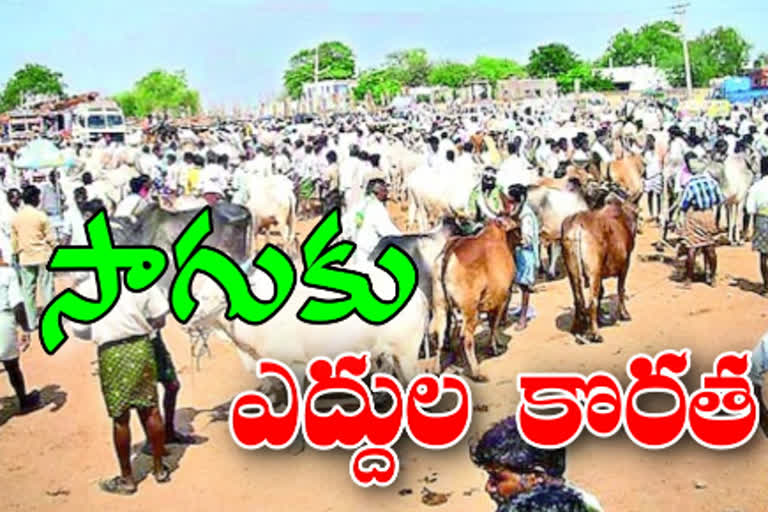 kurnool market issues