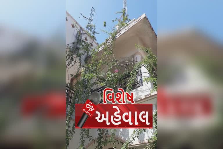 દેશનો સૌથી ઊંચો ગુલાબનો છોડ ક્યાં છે? લિમ્કા બૂકમાં સ્થાન મેળવતાં ગોધરાના પ્રોફેસર