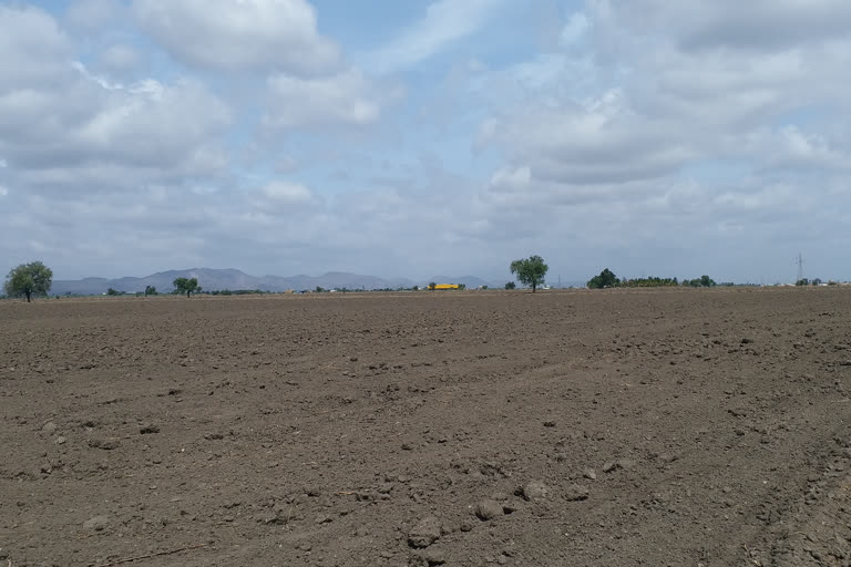 expected-rainfall-during-monsoon-season-8-percent-brisk-sowing-in-bellary