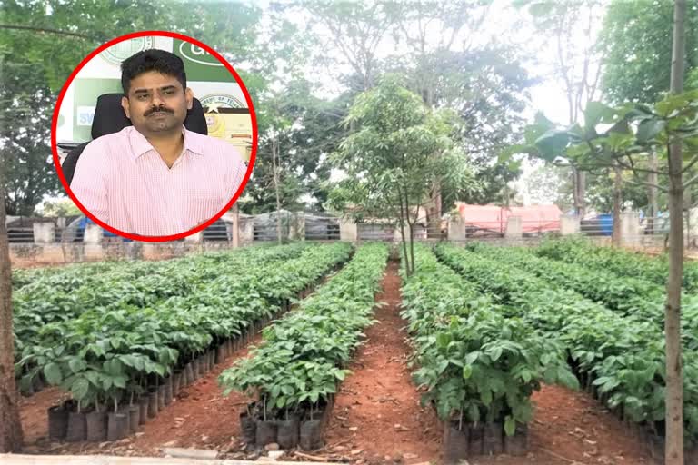 ghmc commissioner on harithaharam