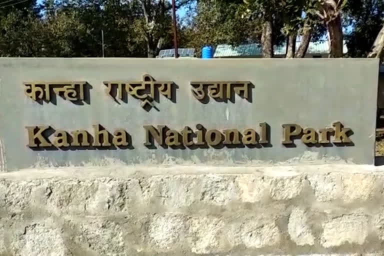 kanha national park