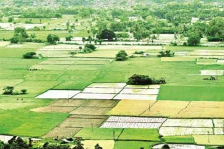 Cases of violation of Karnataka Land Reforms Act