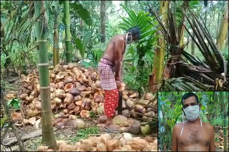 ഗംഗാധരൻ  malappuram news  മലപ്പുറം വാര്‍ത്തകള്‍  gangadhran earns for his daily wages through axe