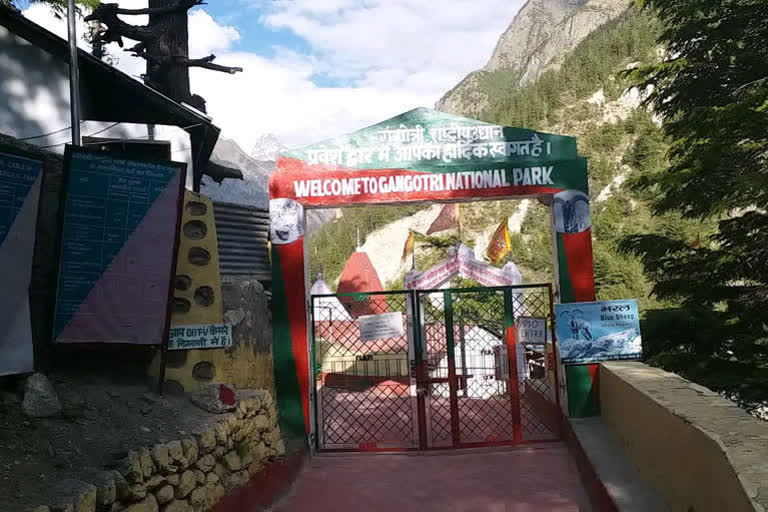 gangotri national park lost lakhs of rupees revenue due to lockdown