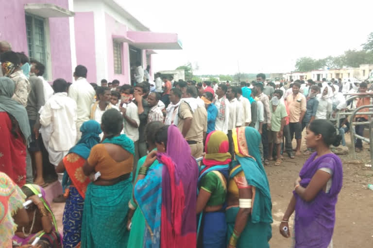 Distribution of soybean seeds in Tadkal village