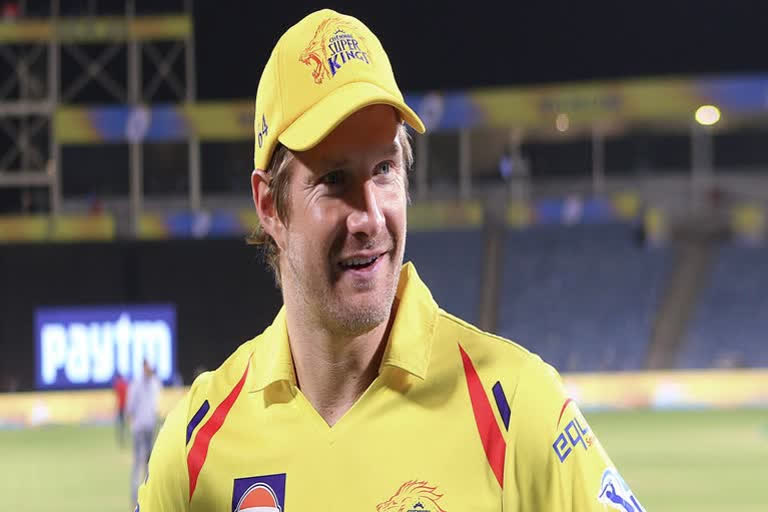 Shane watson