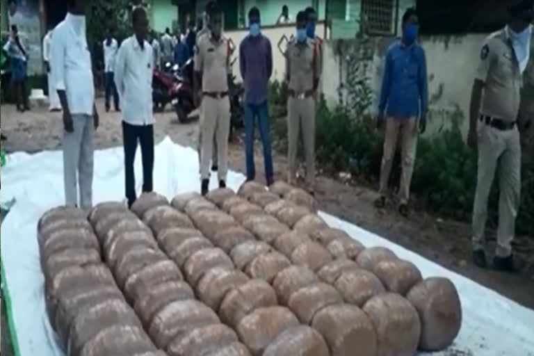 682 kgs of marijuana seized in icchapuram