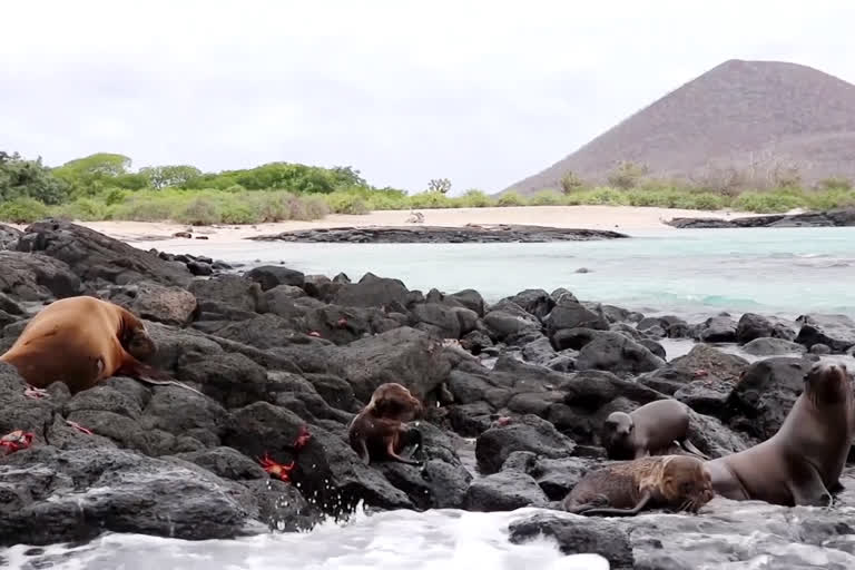 Galapagos Islands