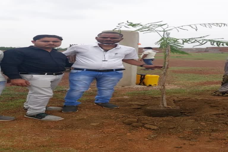 murmunda-sarpanch-has-planted-a-hundred-plants-on-his-birthday