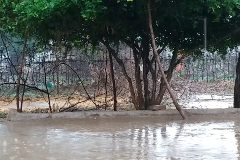 Monsoon knocked in sidhi