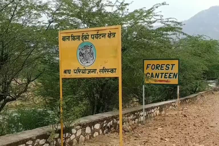 Alwar Tourism News,  Sariska will remain closed