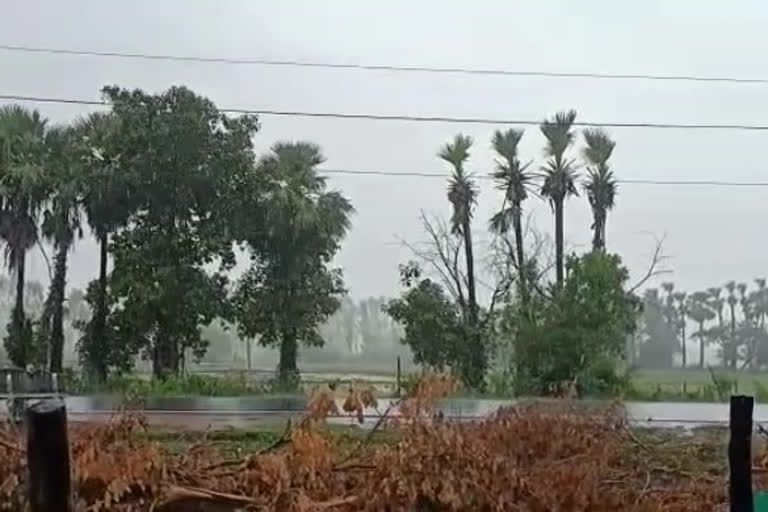 heavy-rain-in-vajedu-venkatapuram-in-mulugu-district