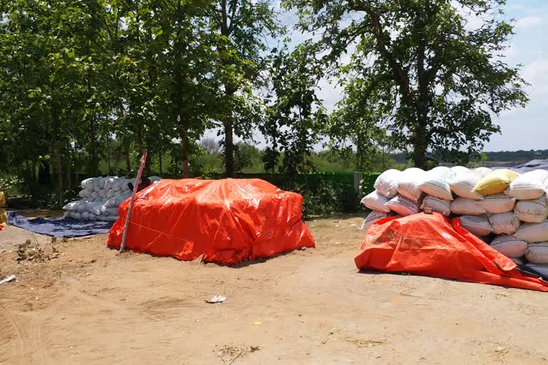 Hundreds of sacks of paddy have fallen under the open sky, and Rabidhan cannot be bought in the mandi