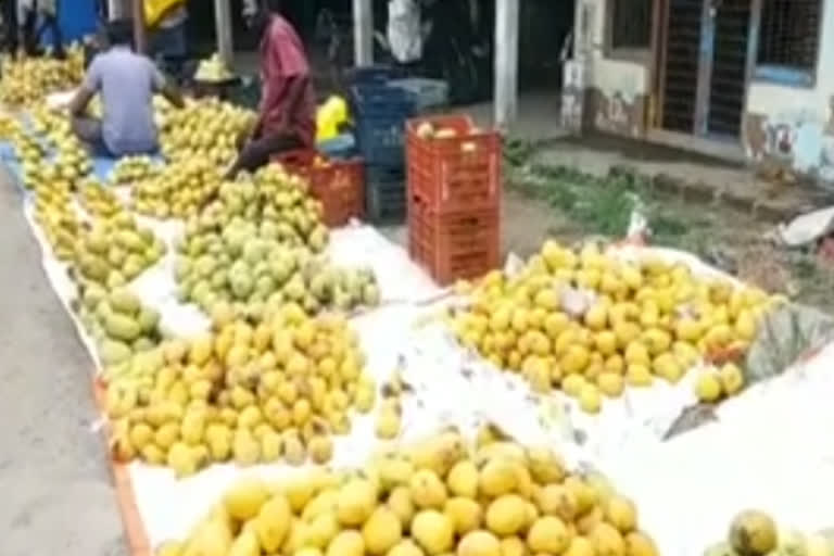 mangos selling started in east godavari dst konasima gudapalli