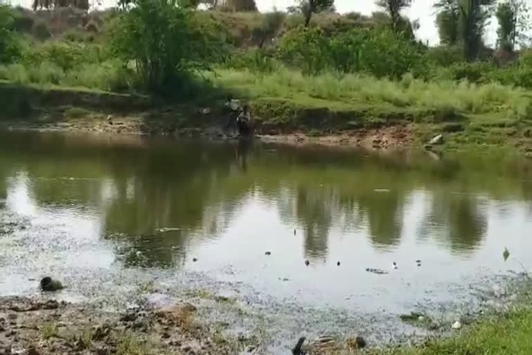 dholpur news, धौलपुर न्यूज, धौलपुर की पार्वती नदी, Parvati River of Dholpur