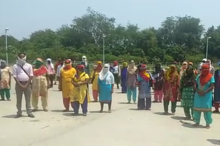 Cleaning Worker protest against Gautam Buddha University